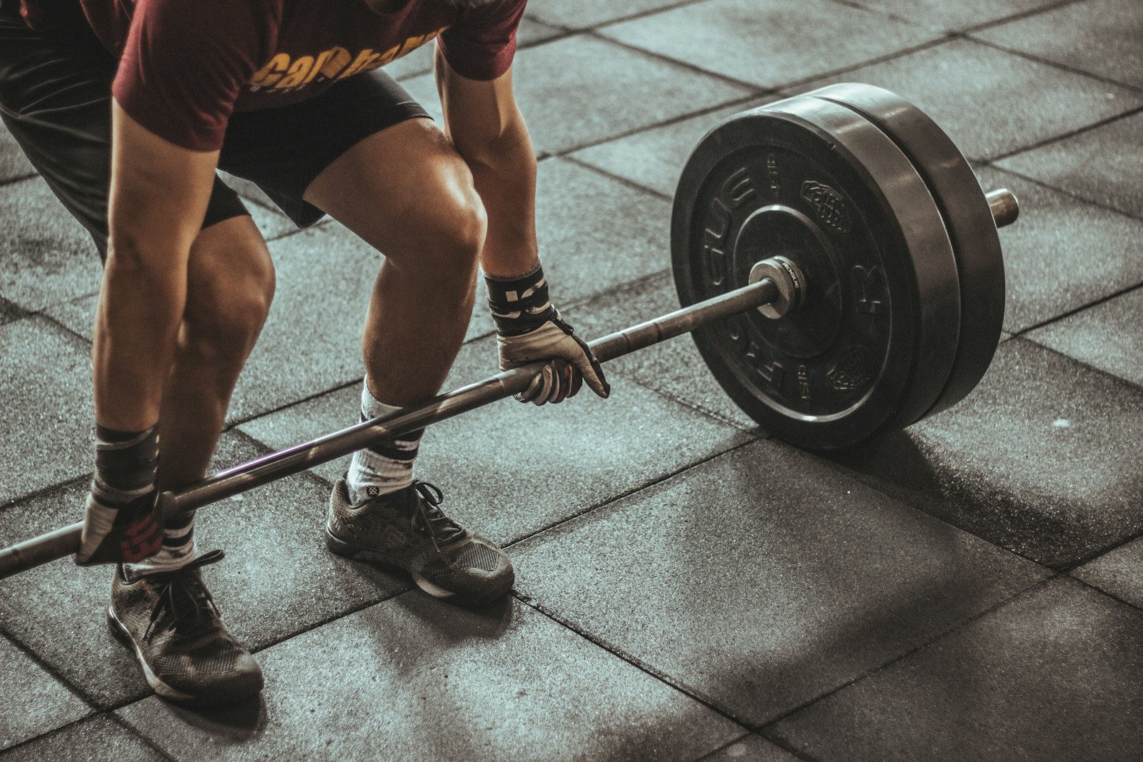 Estrutura Cp Fitness
