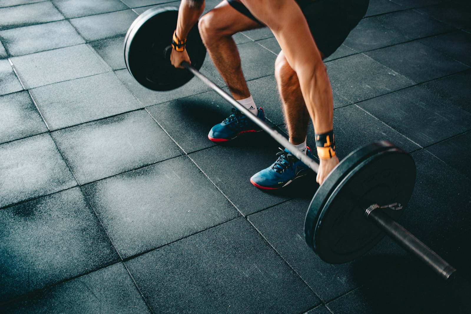 Estrutura Cp Fitness